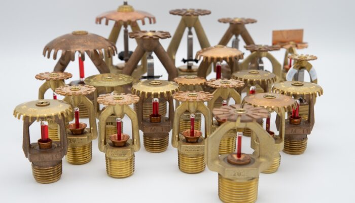 Blusschuimtransitie webinar 20 februari 2026