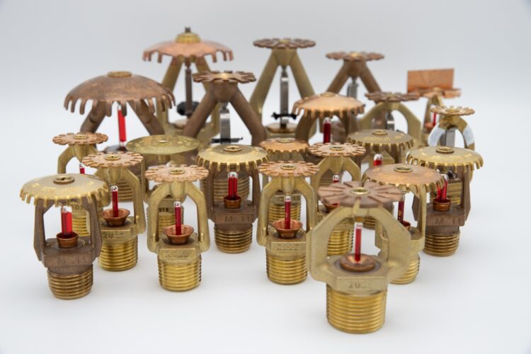 Blusschuimtransitie webinar 20 februari 2026