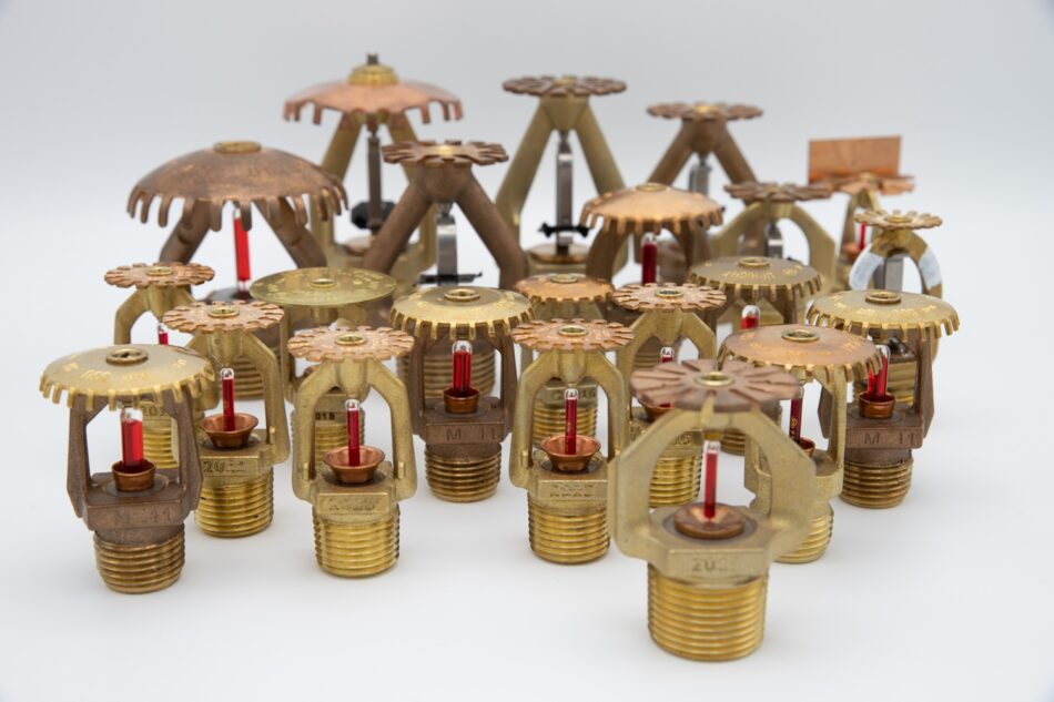 Blusschuimtransitie webinar 20 februari 2026